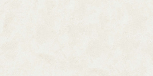 Керамогранит Buono Ceramica Emma Fiore Base Matt арт. EVL4802M (60x120) матовый